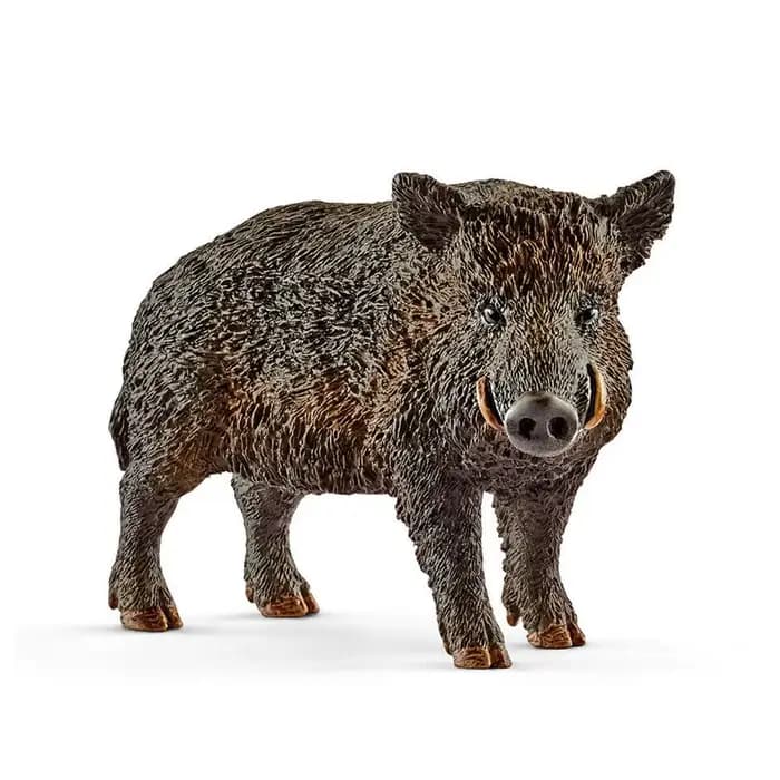 Figurine en PVC de sanglier de la vie sauvage, figurines de jouets, décoration de la maison, 2.8 pou