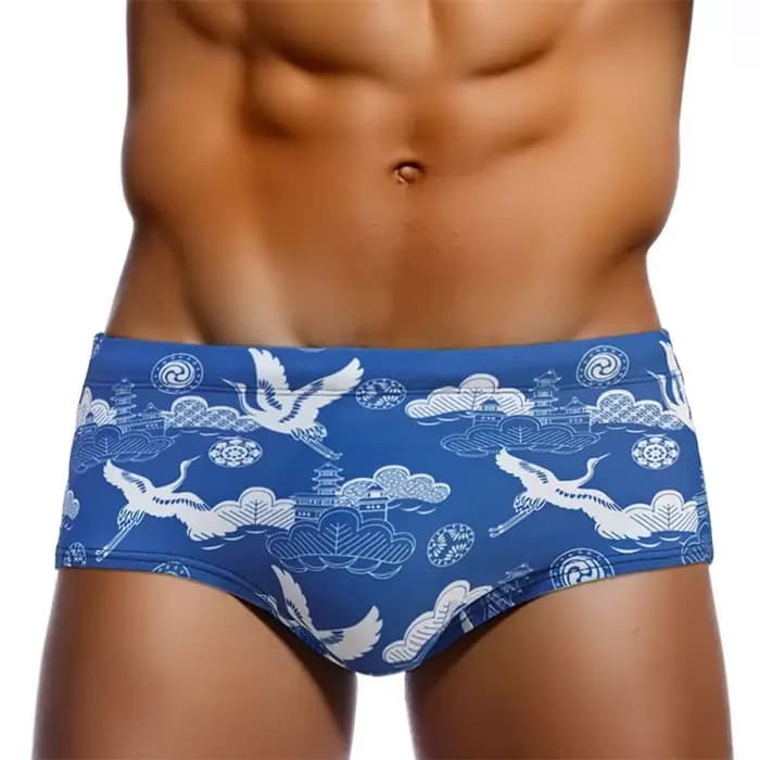 Maillots de bain pour hommes, boxers à séchage rapide, maillots de bain avec coussinets imprimés, maillot de bain boxer en éponge