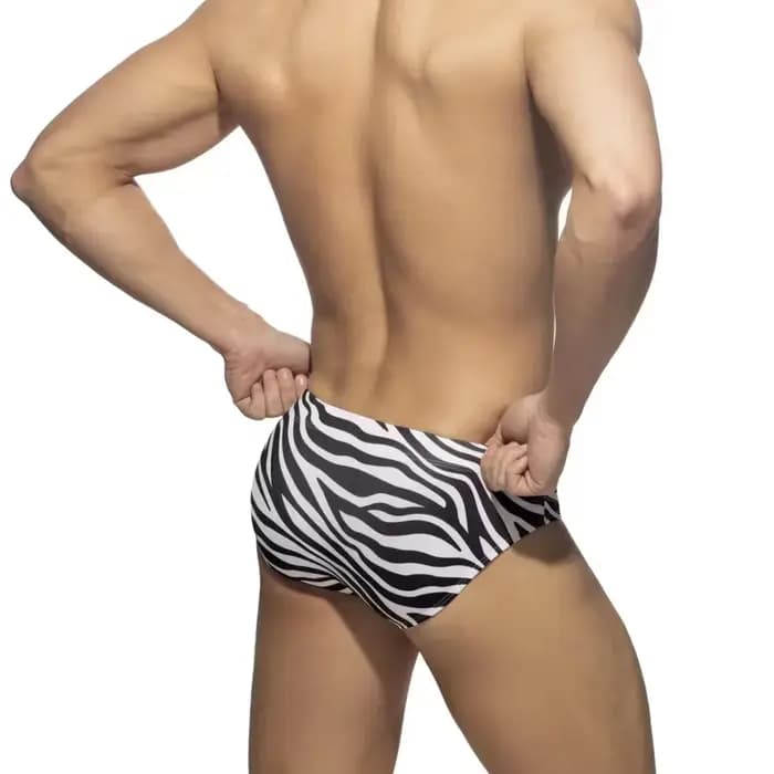 Maillot de bain sexy taille basse pour homme, bikini, slip de bain zèbre à séchage rapide, poudres de contour, string de proximité, short de plage trempé