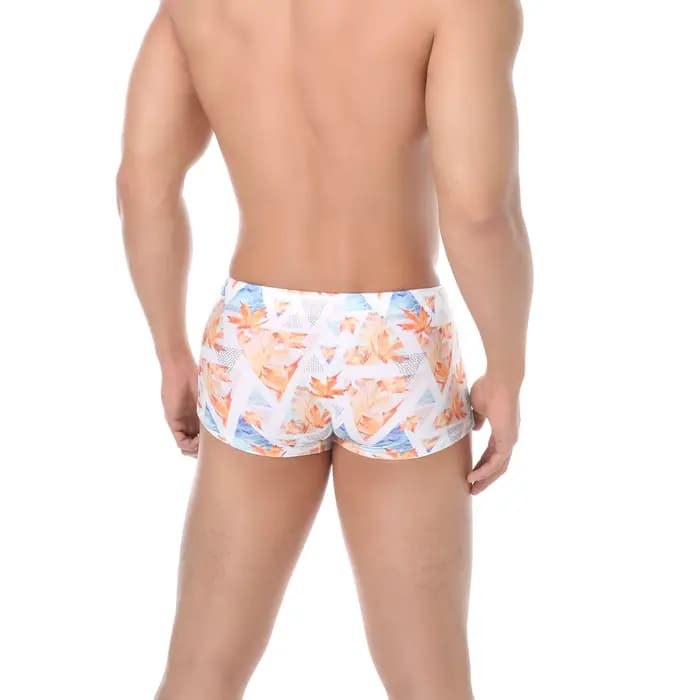 Boxers de bain hommes maillots de bain taille basse Sexy maillot de bain short de bain troncs maillot de bain vente chaude Sunga hombre maillots de bain