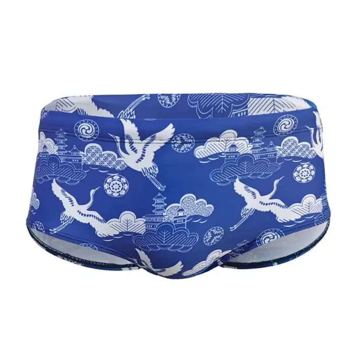Maillots de bain pour hommes, boxers à séchage rapide, maillots de bain avec coussinets imprimés, maillot de bain boxer en éponge