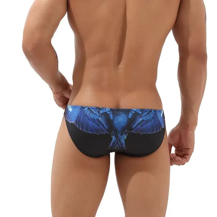Maillot de bain Sexy pour hommes, slip de bain, Mini taille basse, maillot de bain, séchage rapide, respirant, pour la plage