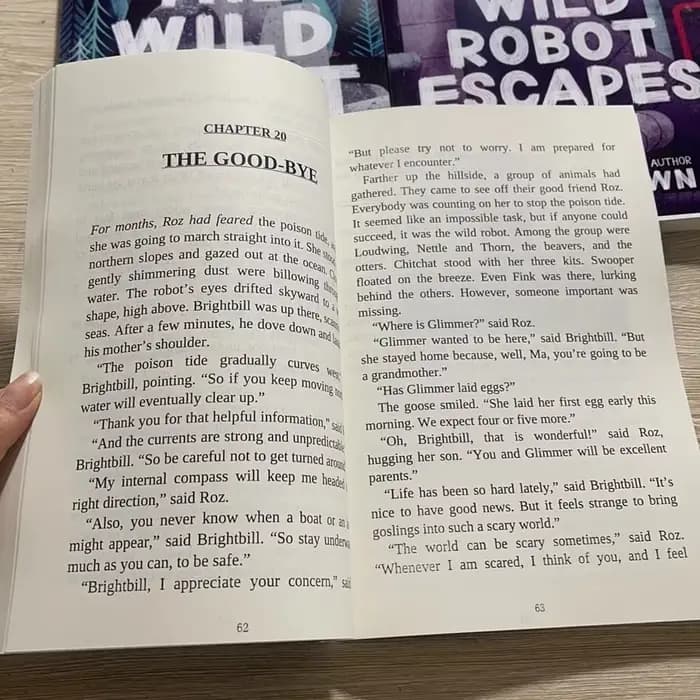 3 livresLe robot sauvage de Peter Brown Livre de poche en anglais