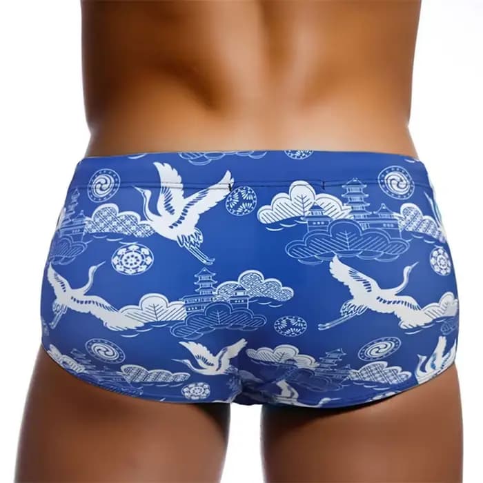 Maillots de bain pour hommes, boxers à séchage rapide, maillots de bain avec coussinets imprimés, maillot de bain boxer en éponge