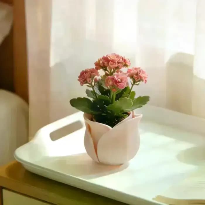 Pot de fleurs en forme de rose, mini pots créatifs pour la décoration quotidienne de la maison et le jardinage