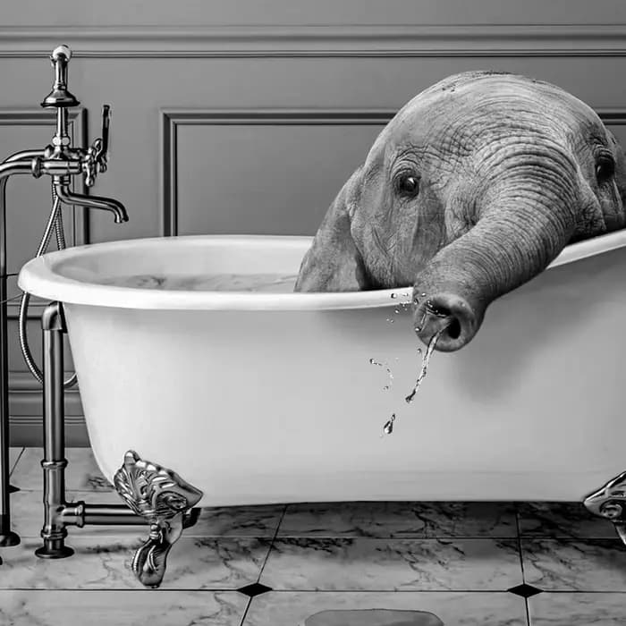 Animaux noir et blanc salle de bains Photo mur Art photos girafe éléphant affiches amusantes toile peinture impressions décor de salle de bains