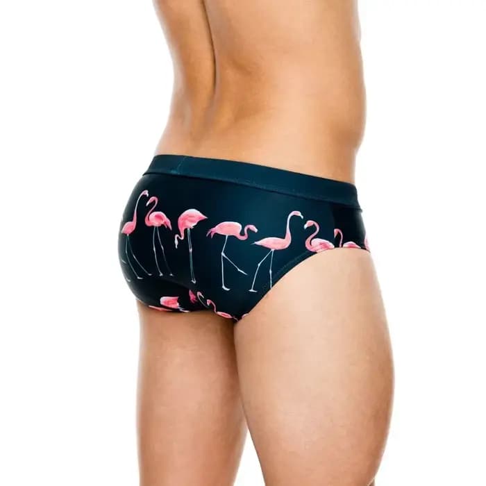 Slip de bain imprimé flamant rose pour homme, short de surf, boxer de plage, maillot de bain, bikini imbibé, bleu marine