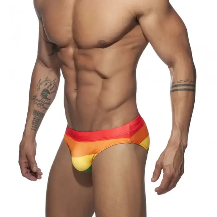 Maillot de bain arc-en-ciel Sexy pour hommes, culotte de sport, maillot de bain, Bikini, drapeau Gay, sous-vêtements de plage, de Surf