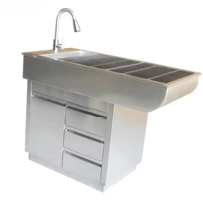 Baignoire professionnelle pour animaux de compagnie : Station de toilettage multifonctionnelle avec