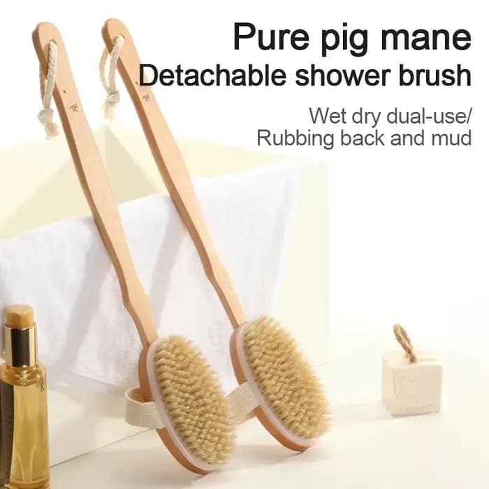 Brosse de douche détachable pour le dos