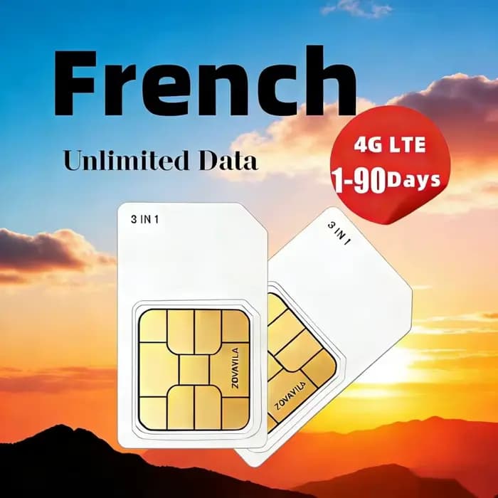 Réseau 4G France, données 1 Go/mois, service 30 jours – Convient aux téléphones mobiles/caméras/tablettes/WiFi