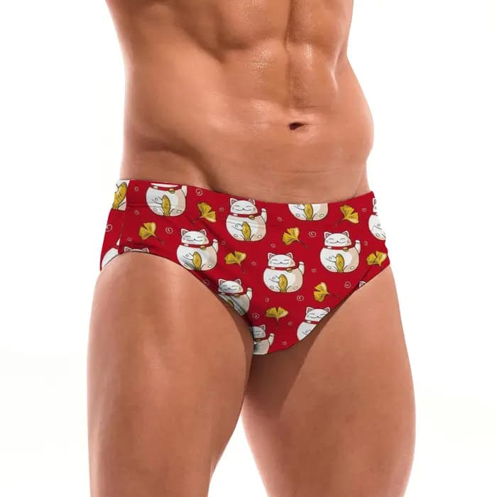Maillot de bain triangle Lucky Cat Ginkgo pour homme, coupe ajustée, durable, avec cordon de serrage, idéal pour parcs aquatiques, baignades en île, bain de soleil, cadeau de vacances