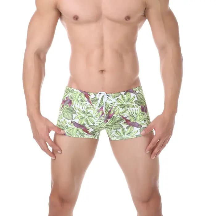 Boxers de bain hommes maillots de bain taille basse Sexy maillot de bain short de bain troncs maillot de bain vente chaude Sunga hombre maillots de bain