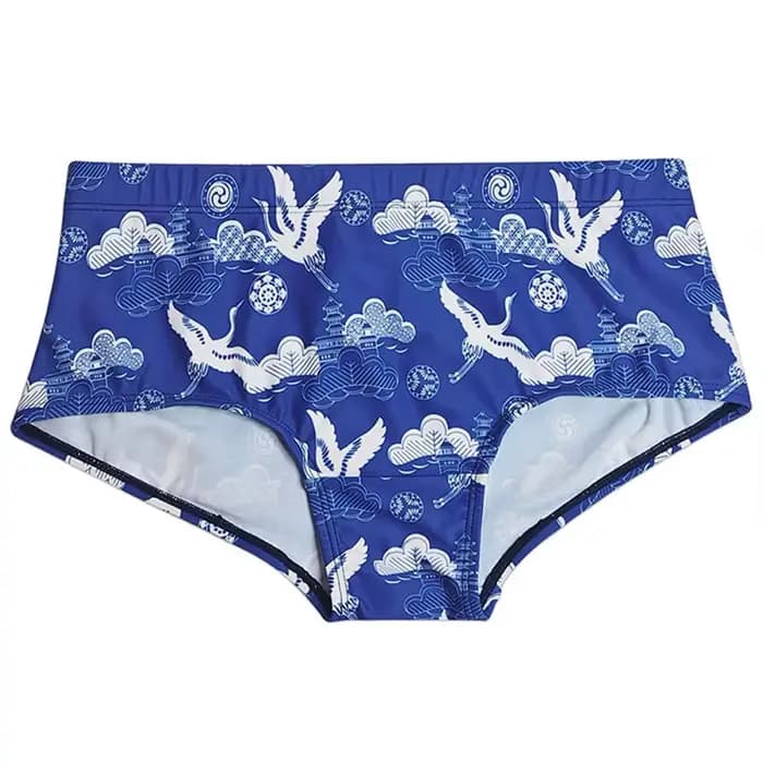 Maillots de bain pour hommes, boxers à séchage rapide, maillots de bain avec coussinets imprimés, maillot de bain boxer en éponge