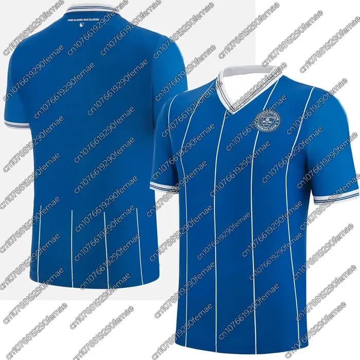 Maillot de football domicile Bosnie 2026 pour supporters